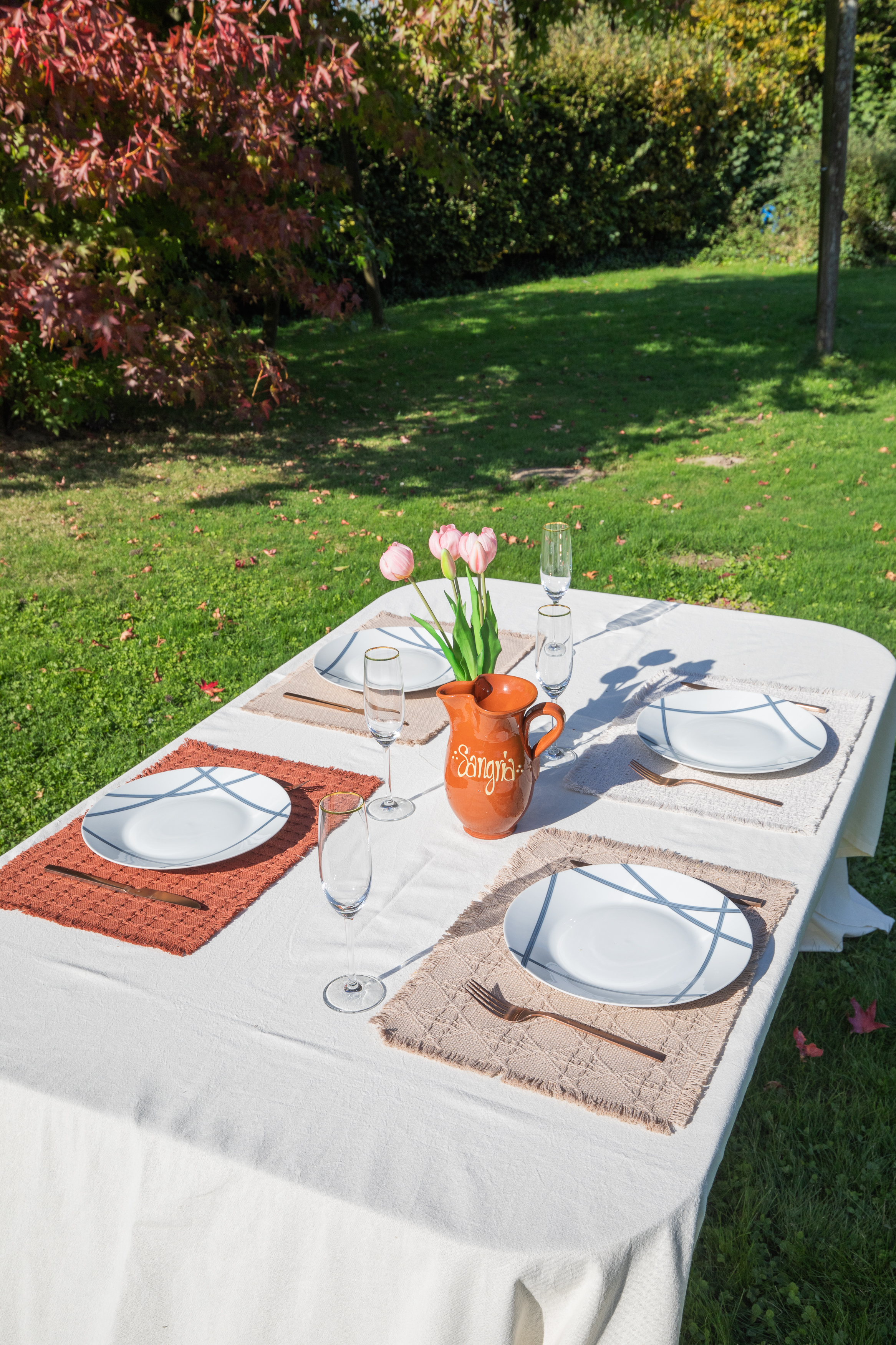 Set de table NOVA - 33x45 cm, rouge brun