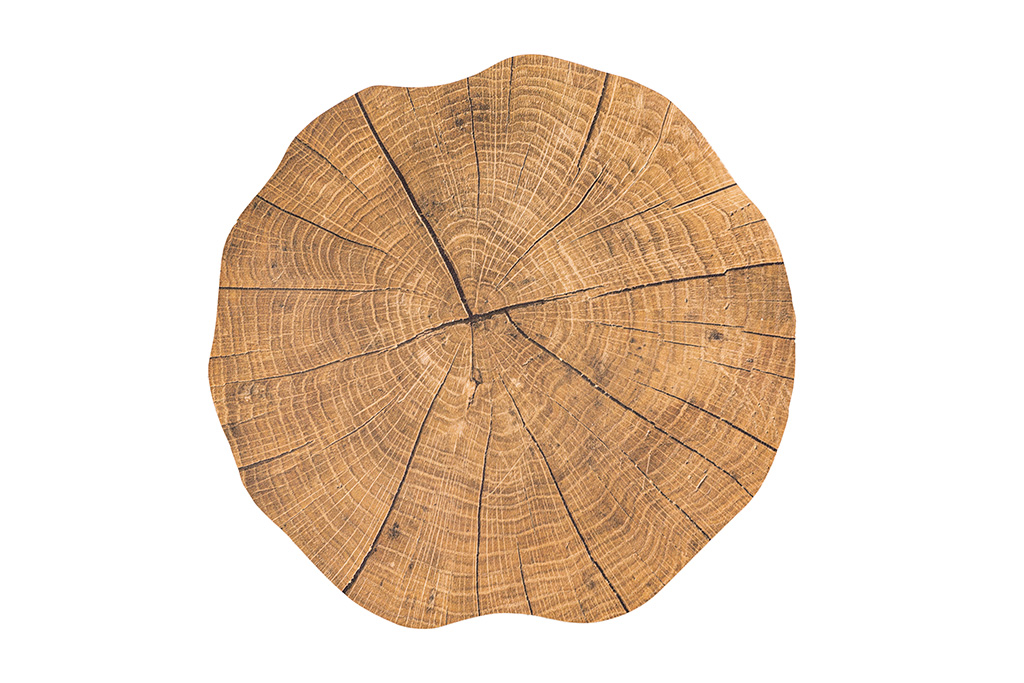 Placemat TOGO TREE TRUNK, dia 38cm, wood